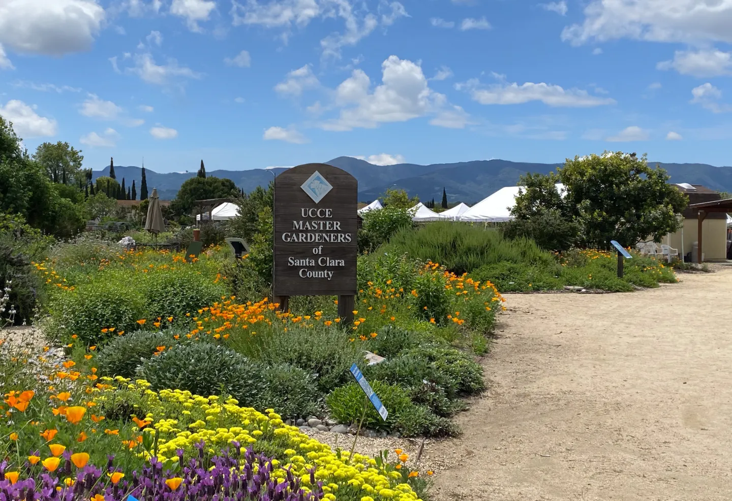 Master Gardener sign amid spring wildflowers