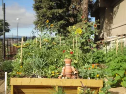 Pot Figure